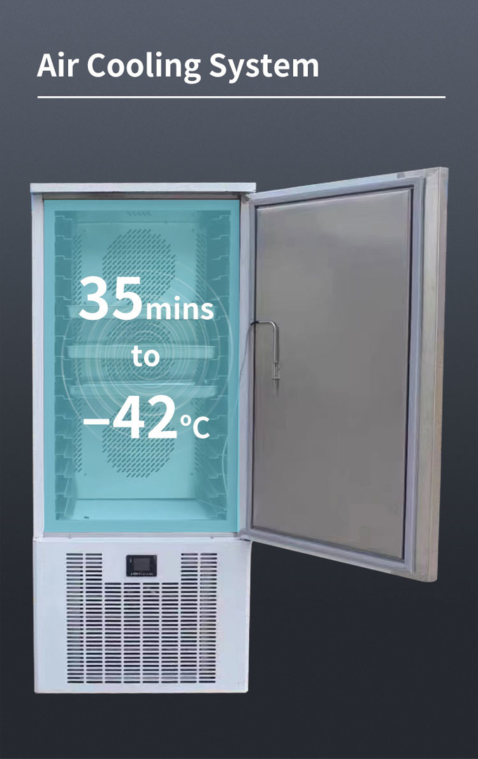 Congelamento rapido del refrigeratore del congelatore rapido dei 15 vassoi, refrigeratore rapido commerciale 1500w 5